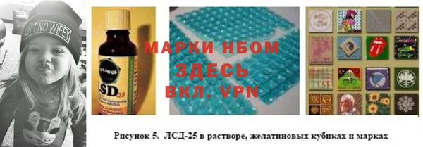 apvp Алзамай