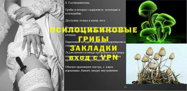 apvp Алзамай