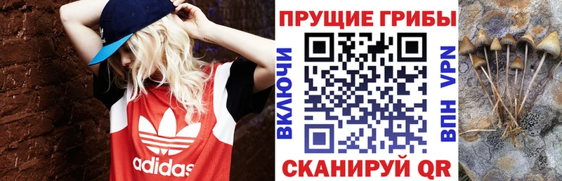 Псилоцибиновые грибы мухоморы Поронайск